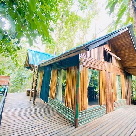 Khao Sok Tree House Resort Khao Sok National Park Exteriör bild