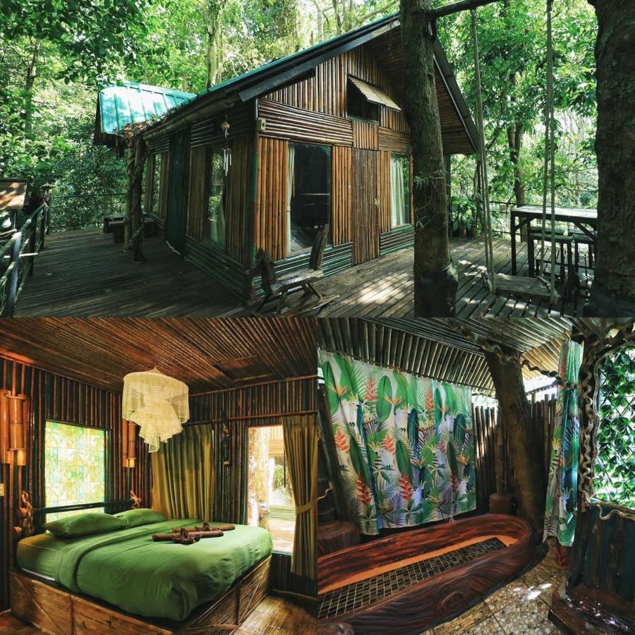 Khao Sok Tree House Resort Khao Sok National Park Exteriör bild