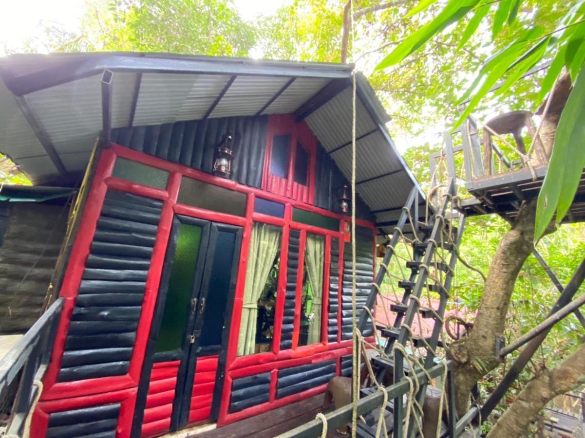 Khao Sok Tree House Resort Khao Sok National Park Exteriör bild