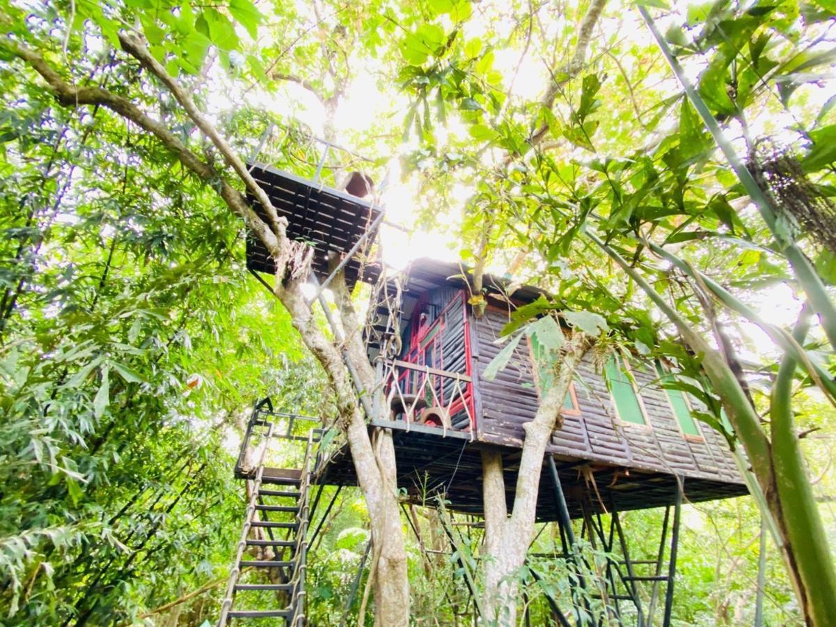 Khao Sok Tree House Resort Khao Sok National Park Exteriör bild
