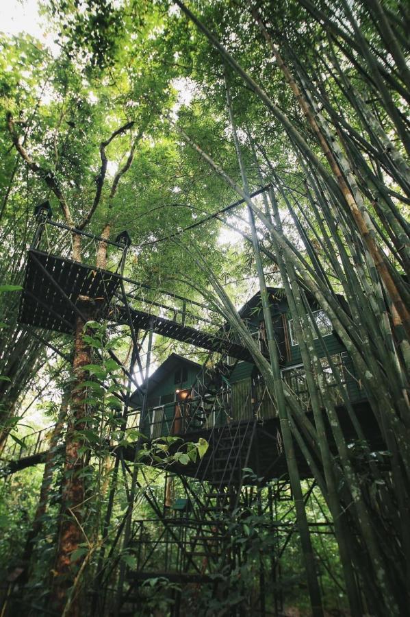 Khao Sok Tree House Resort Khao Sok National Park Exteriör bild