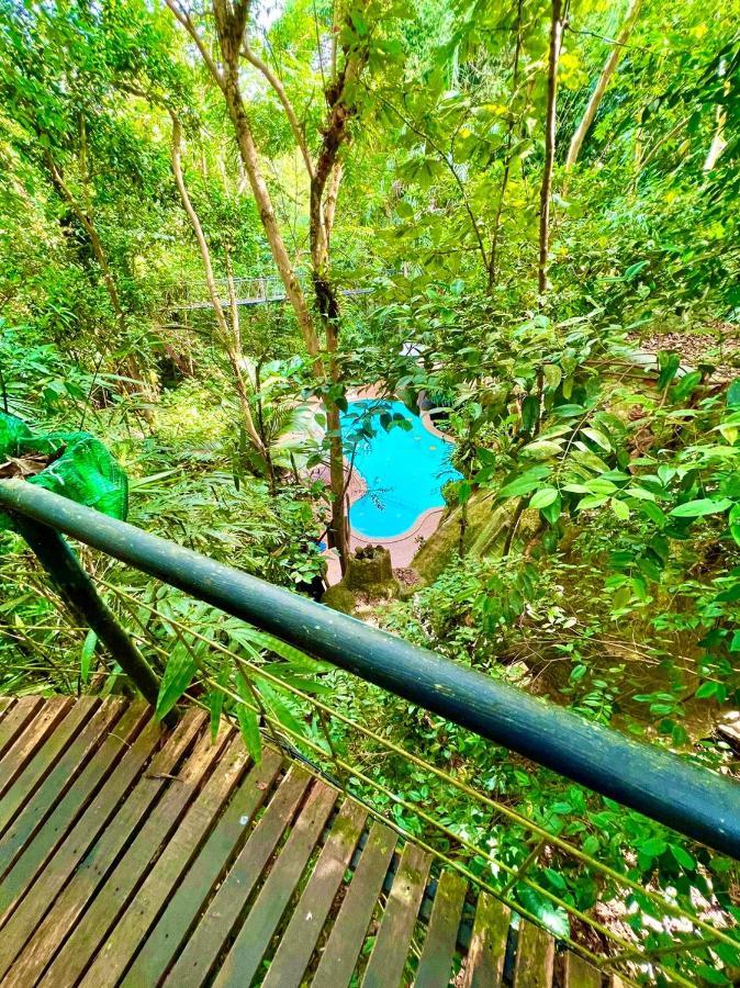 Khao Sok Tree House Resort Khao Sok National Park Exteriör bild