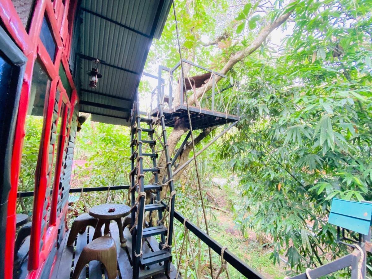Khao Sok Tree House Resort Khao Sok National Park Exteriör bild