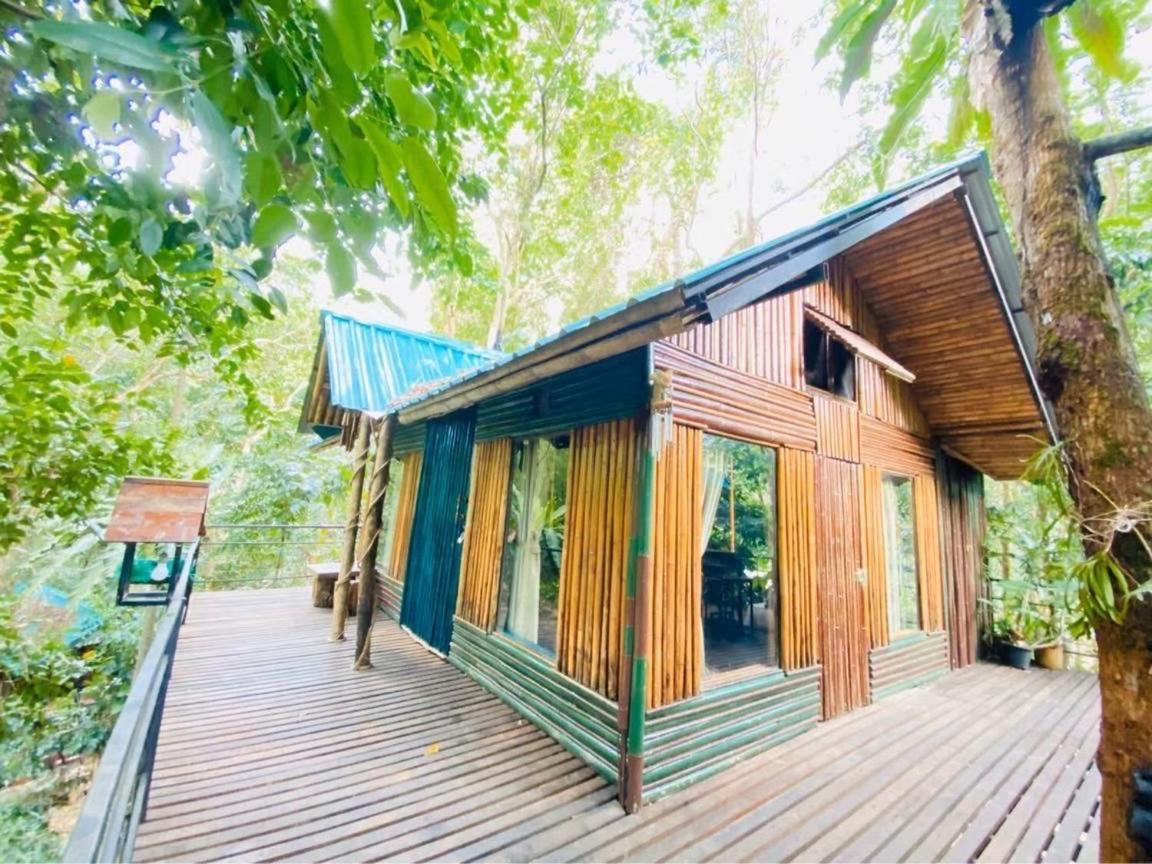 Khao Sok Tree House Resort Khao Sok National Park Exteriör bild
