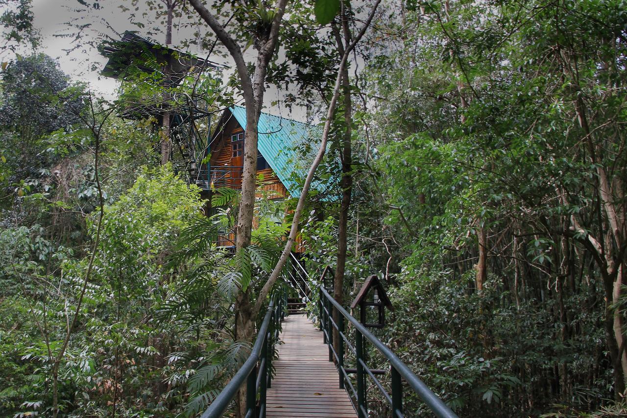 Khao Sok Tree House Resort Khao Sok National Park Exteriör bild