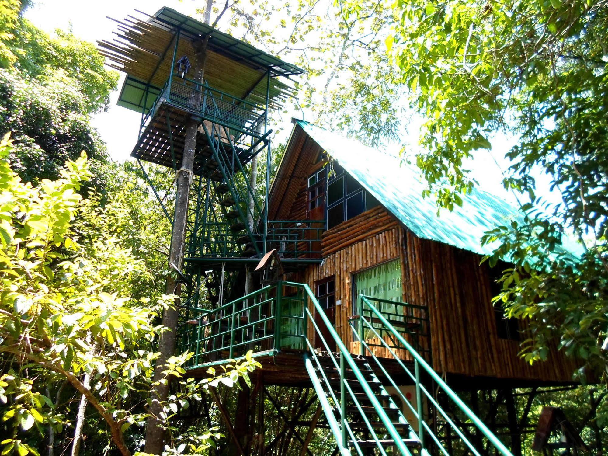 Khao Sok Tree House Resort Khao Sok National Park Exteriör bild