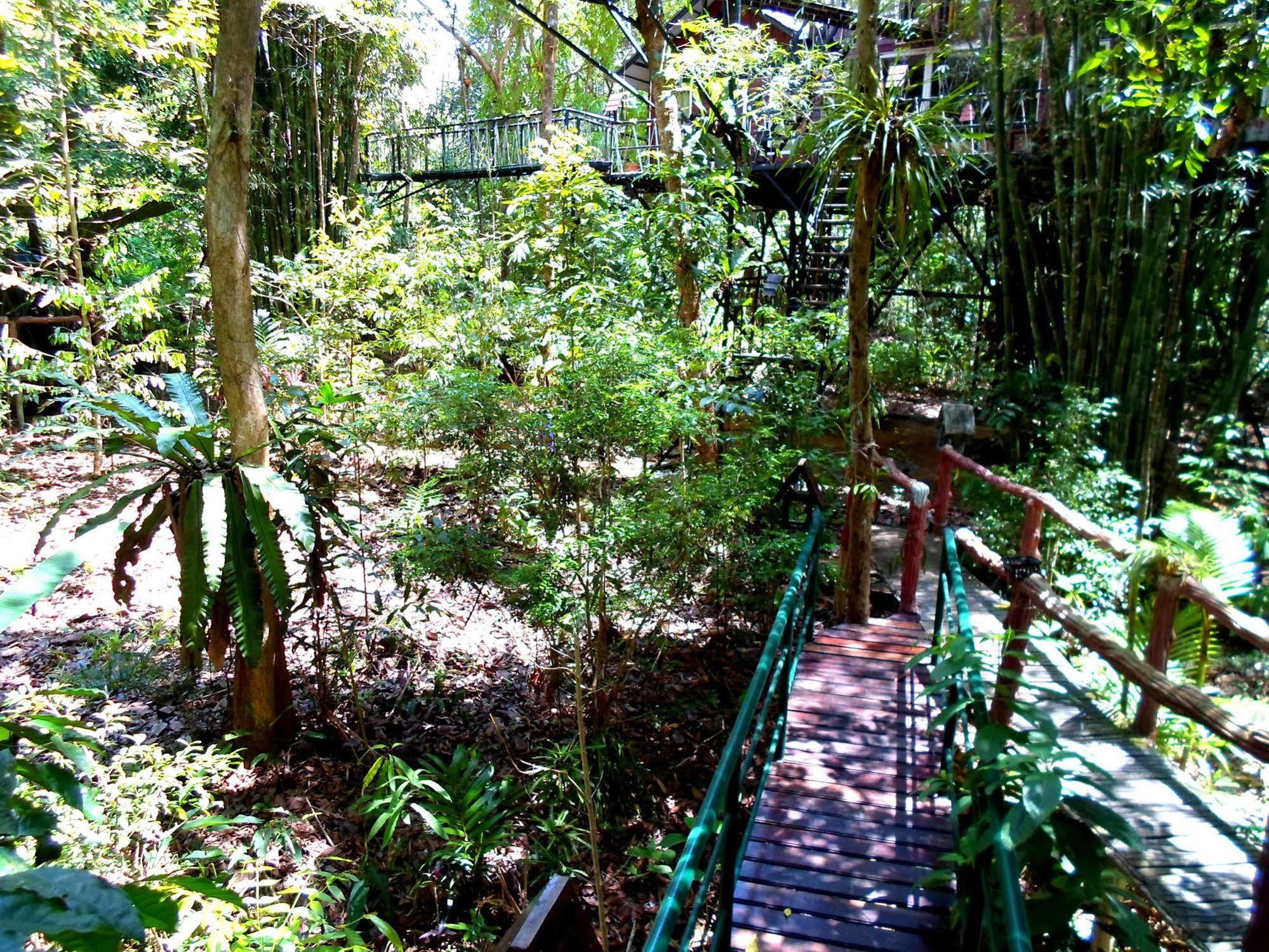 Khao Sok Tree House Resort Khao Sok National Park Exteriör bild