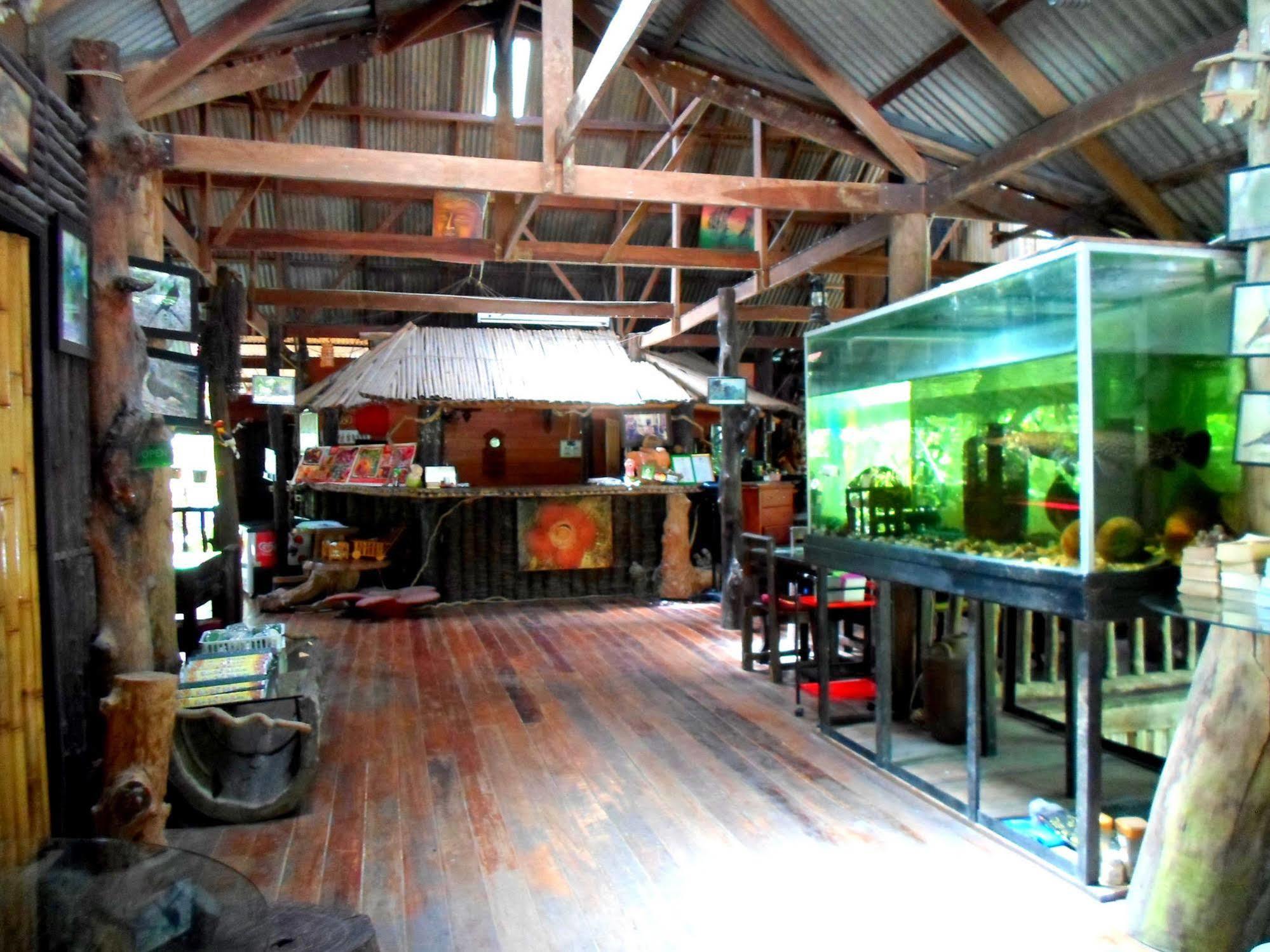 Khao Sok Tree House Resort Khao Sok National Park Exteriör bild
