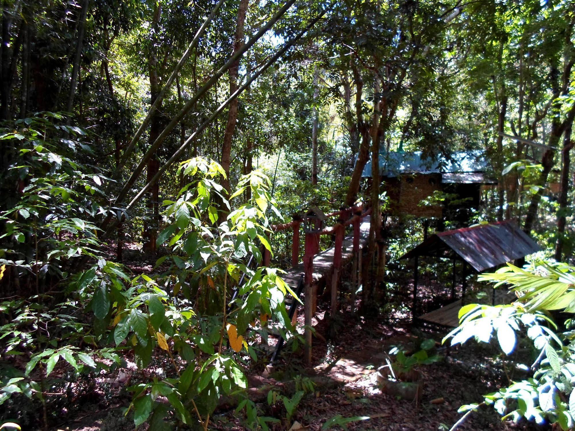 Khao Sok Tree House Resort Khao Sok National Park Exteriör bild