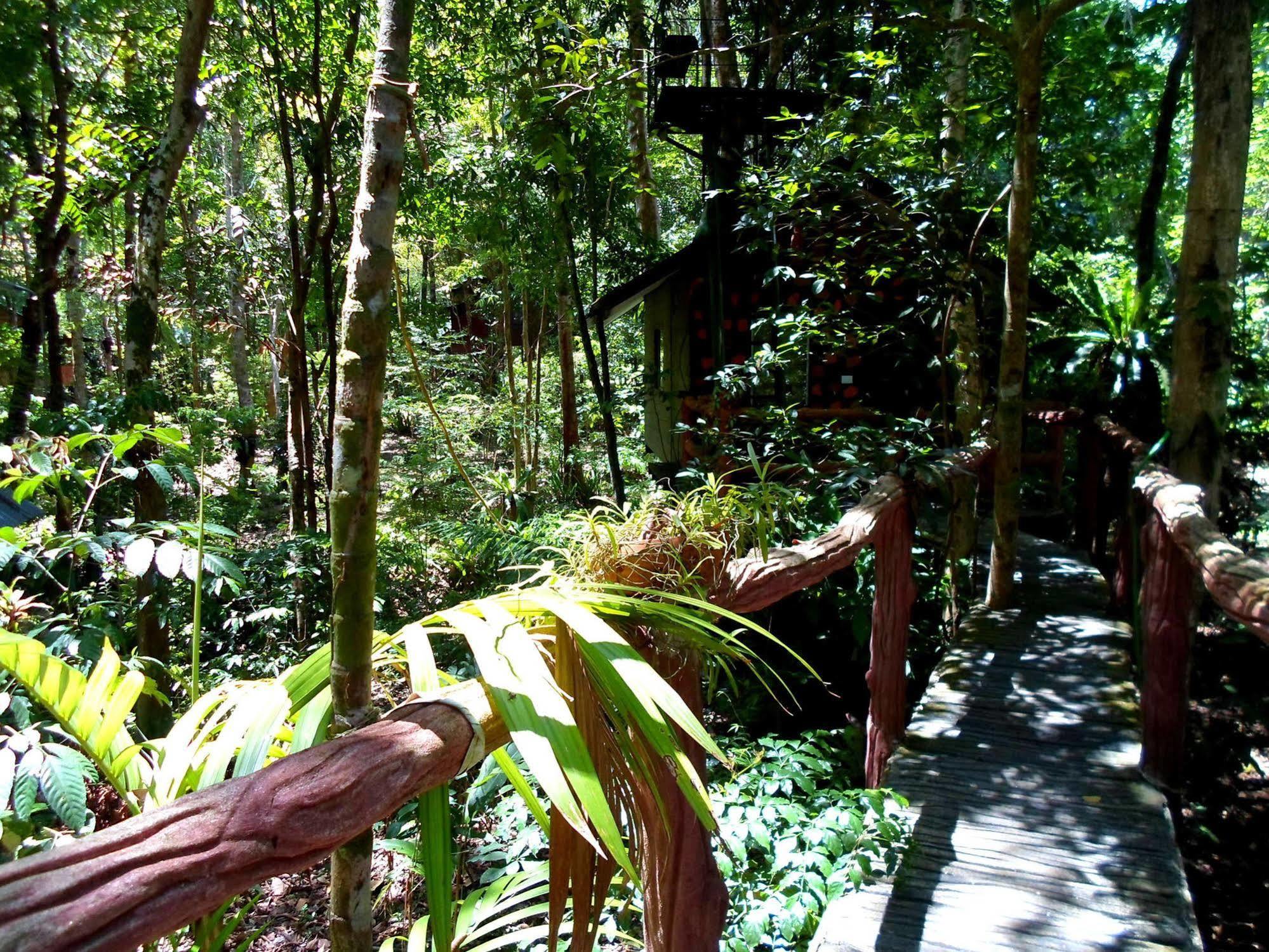 Khao Sok Tree House Resort Khao Sok National Park Exteriör bild