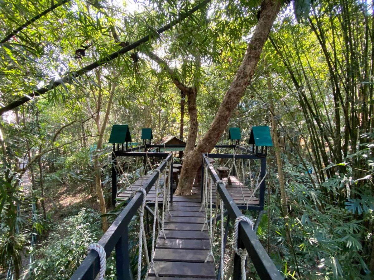 Khao Sok Tree House Resort Khao Sok National Park Exteriör bild