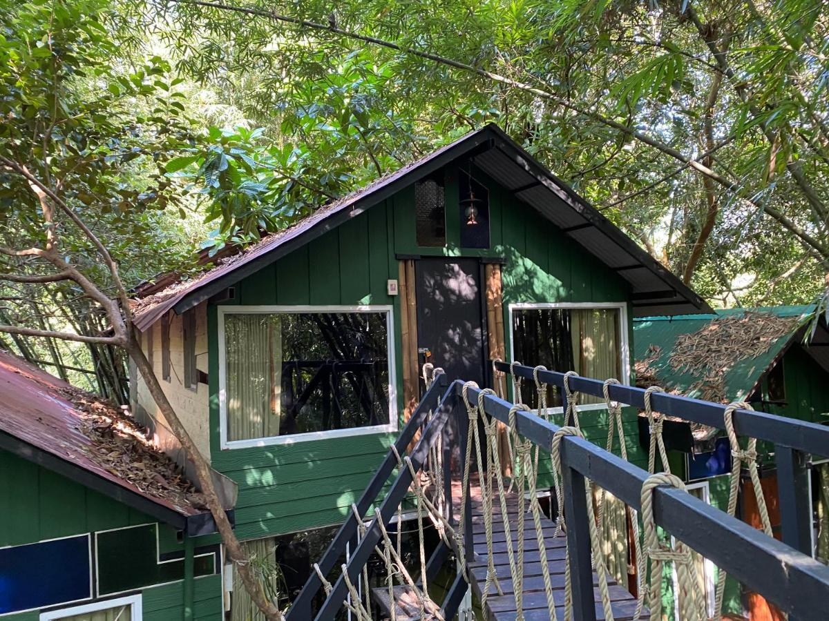 Khao Sok Tree House Resort Khao Sok National Park Exteriör bild