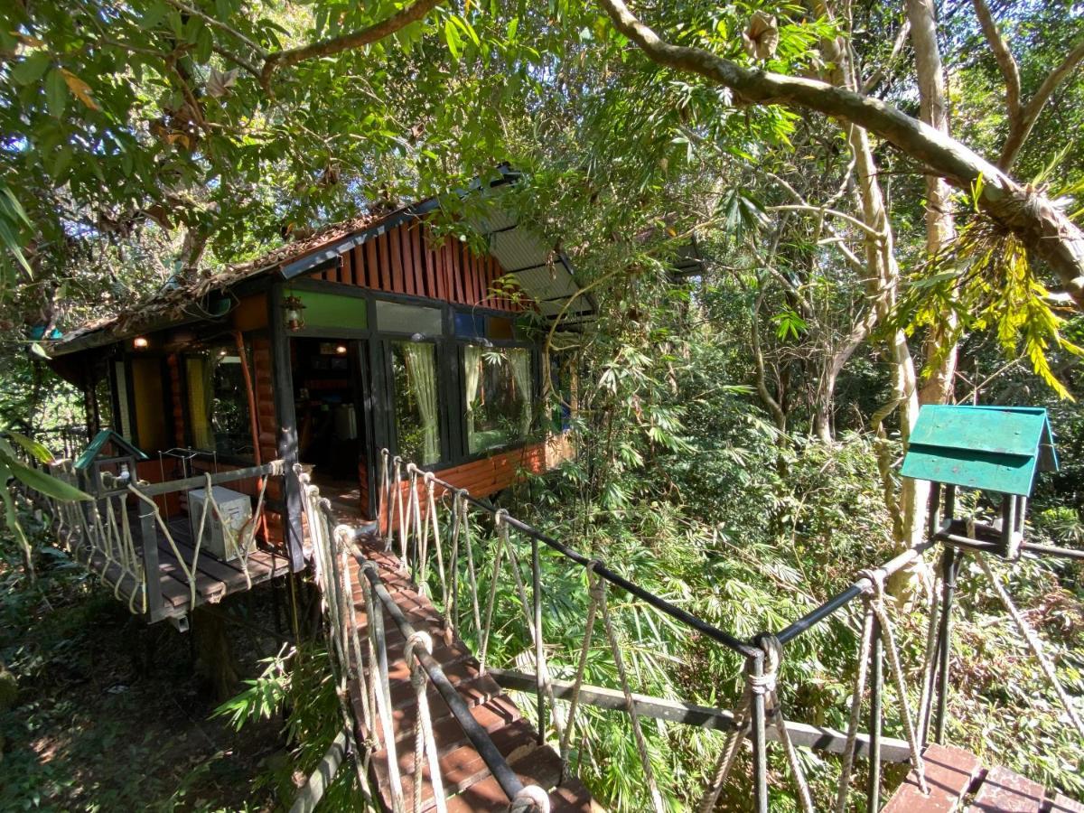Khao Sok Tree House Resort Khao Sok National Park Exteriör bild